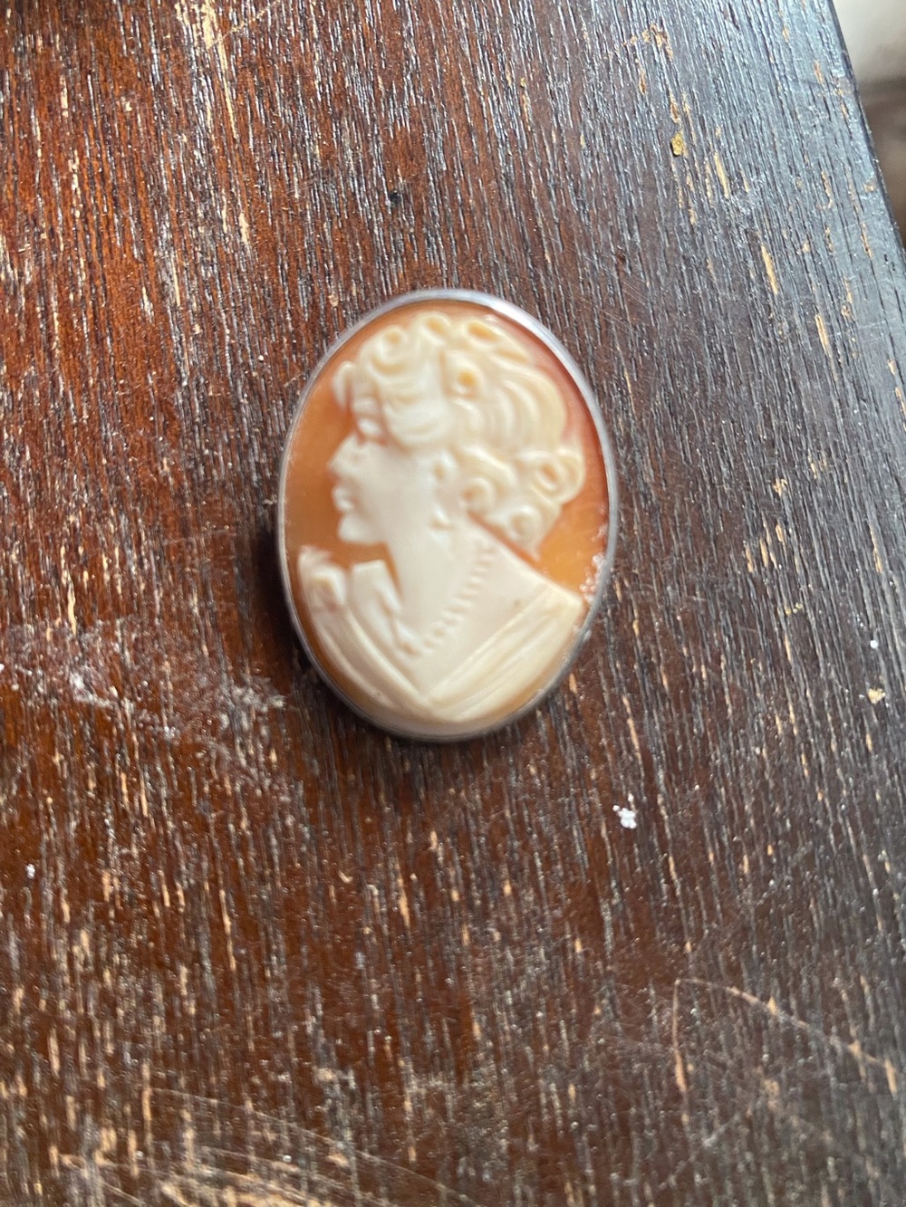 Vintage Cameo Convertible Brooch - Carved Shell Portrait in Warm Brown and Cream